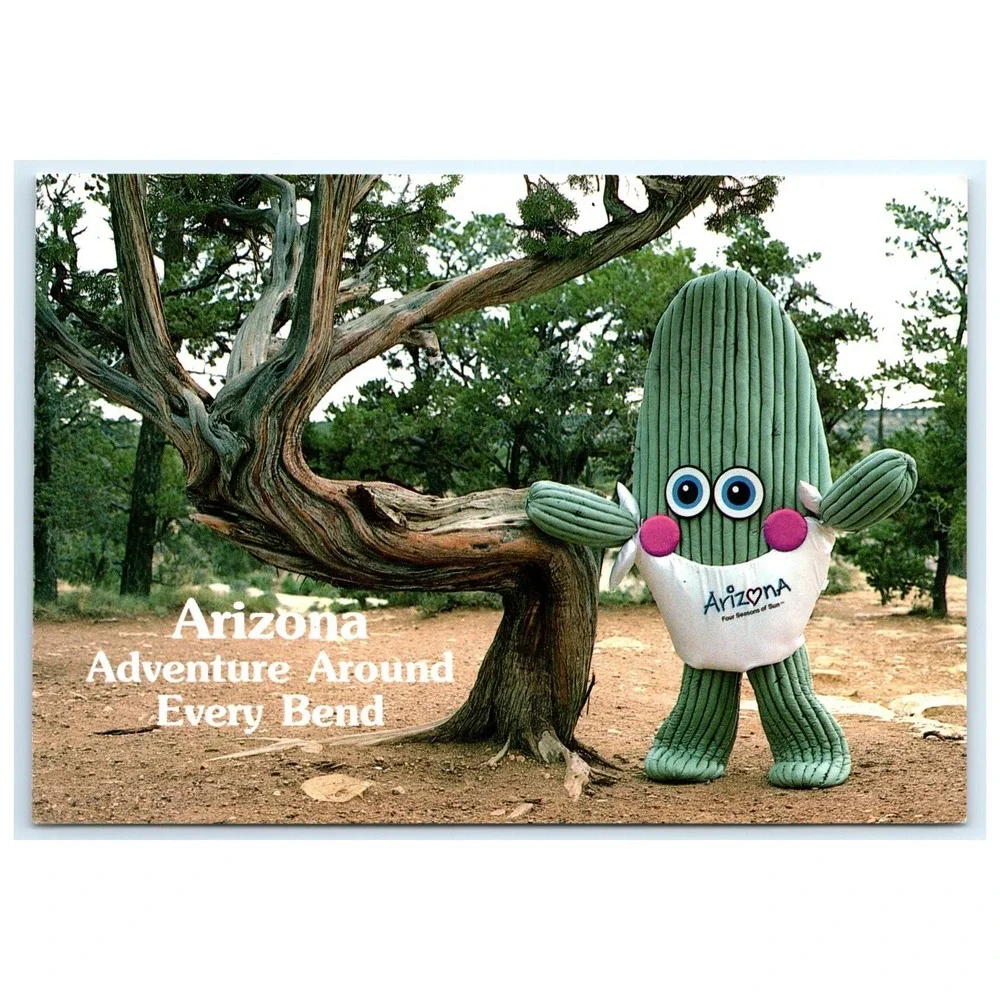 Cactus Mascot Tourism‎ Costume Adventure Desert Trail Tree Promotion AZ Postcard